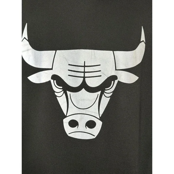 NBA Chicago Bulls Black Pullover Hoodie Men's Size Large Silver Marble Logo EUC - Picture 1 of 10